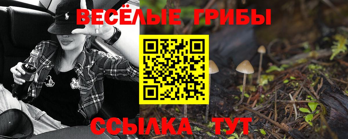 Зеленогорск  Галлюциногенные грибы ЛСД  Вход с VPN  Псилоцибиновые грибы Psilocybine cubensis 