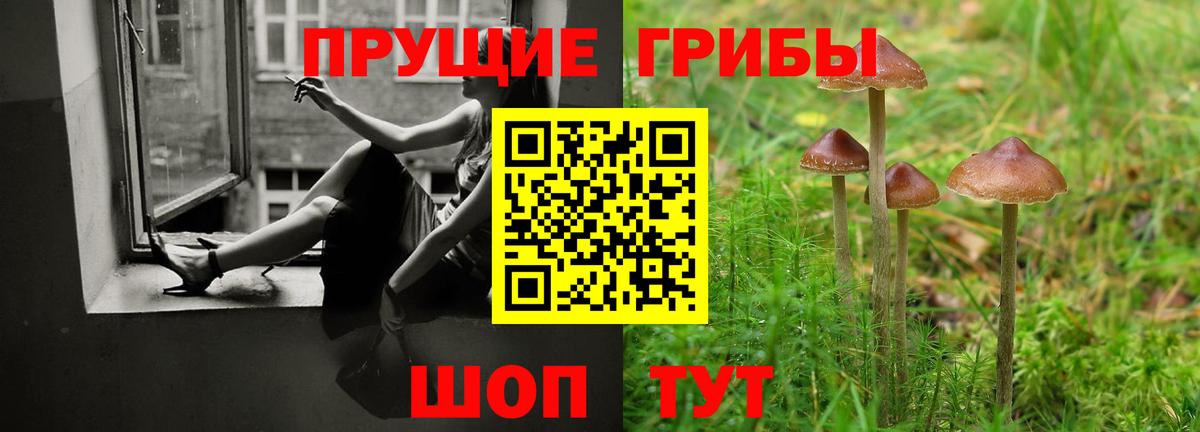 Галлюциногенные грибы Cubensis Зеленогорск